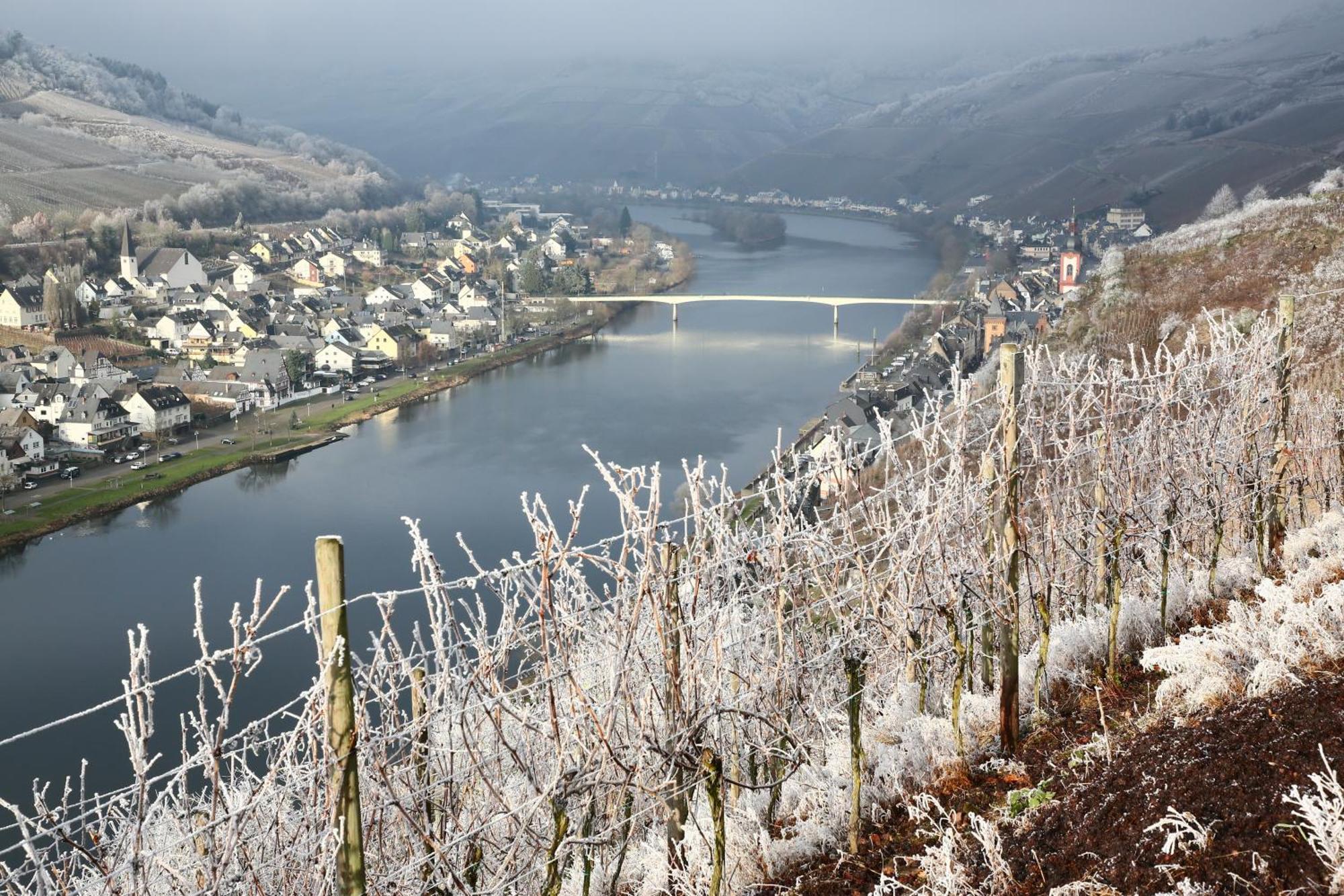 Ferienwohnung Ankerplatz Zell an der Mosel Eksteriør bilde